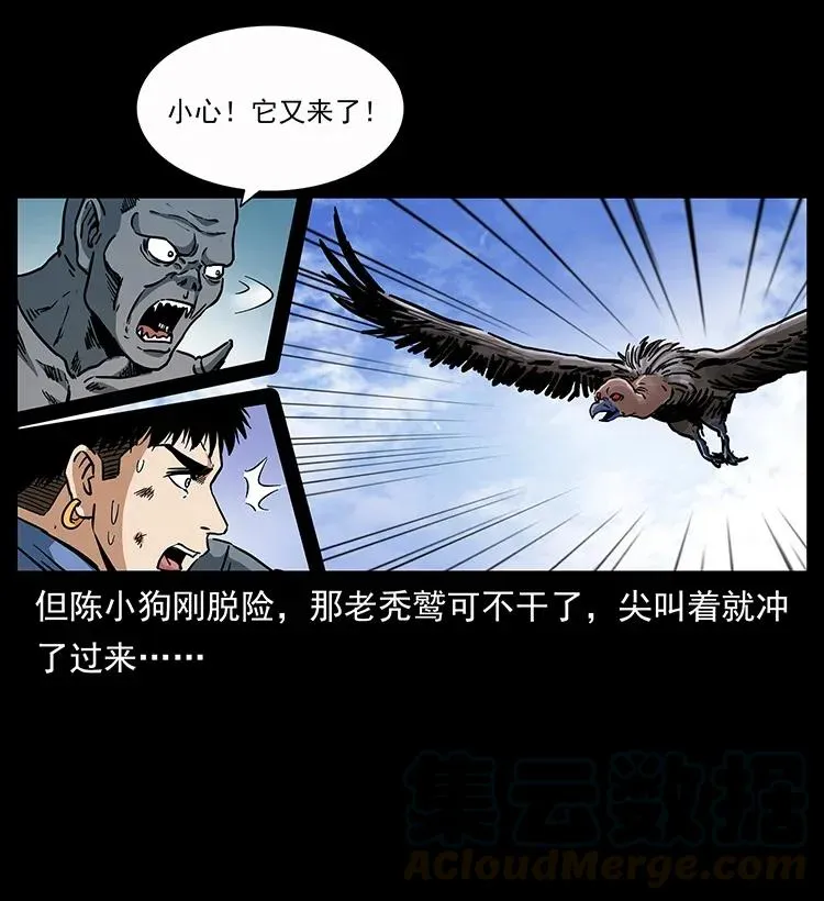 281 柱子归来！ 第41页