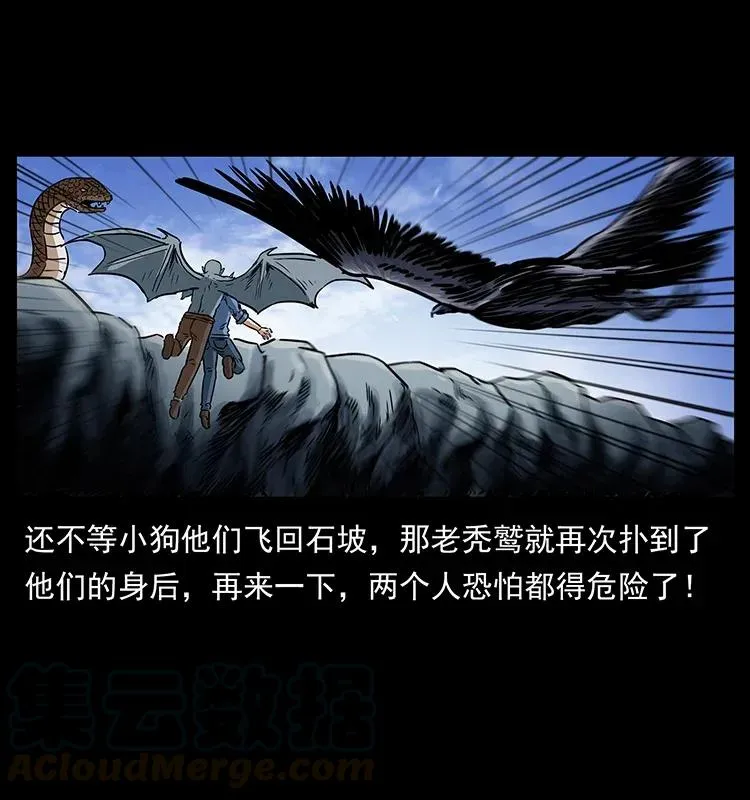 281 柱子归来！ 第45页