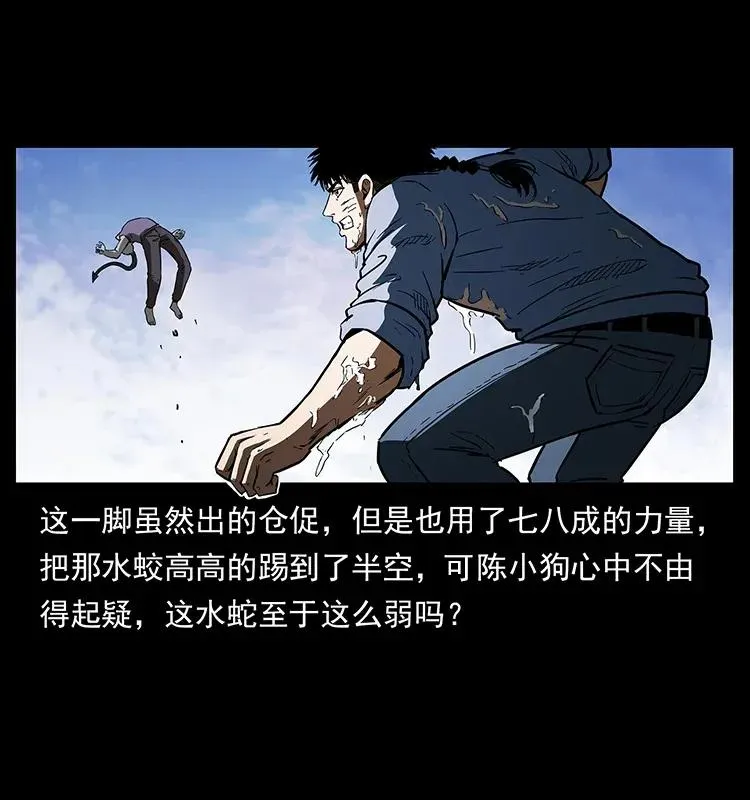 283 神域守门人 第79页