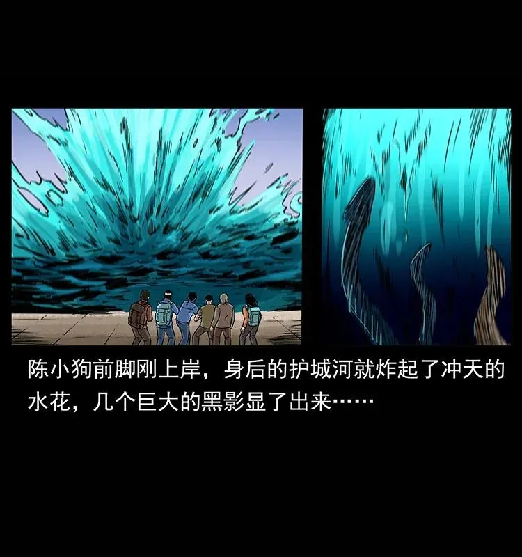 285 水蛟一族 第46页
