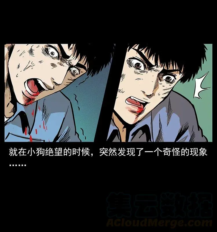 287 权谋 第81页