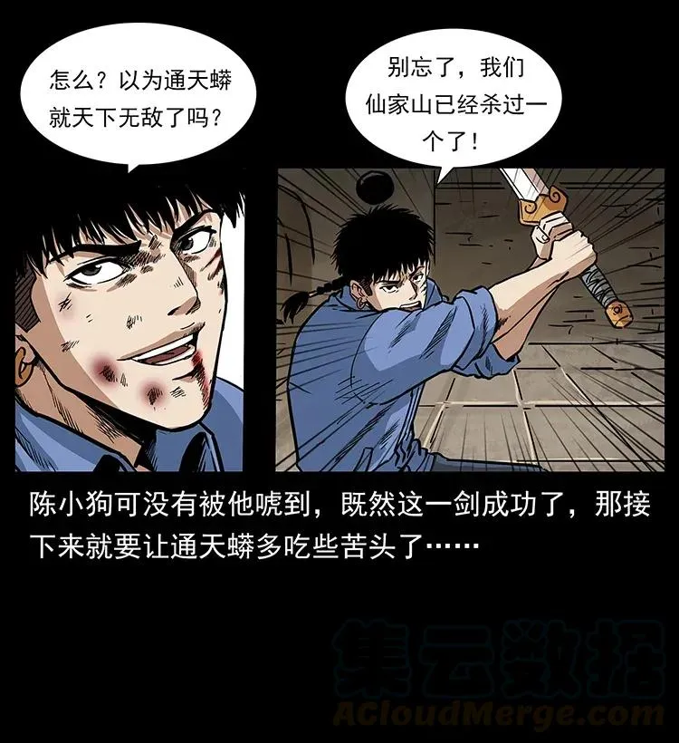 288 强者归队！ 第13页