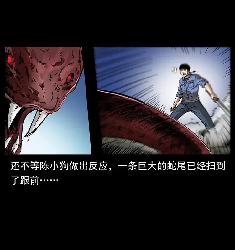 288 强者归队！ 第42页