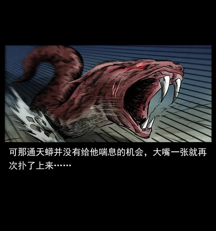 288 强者归队！ 第46页