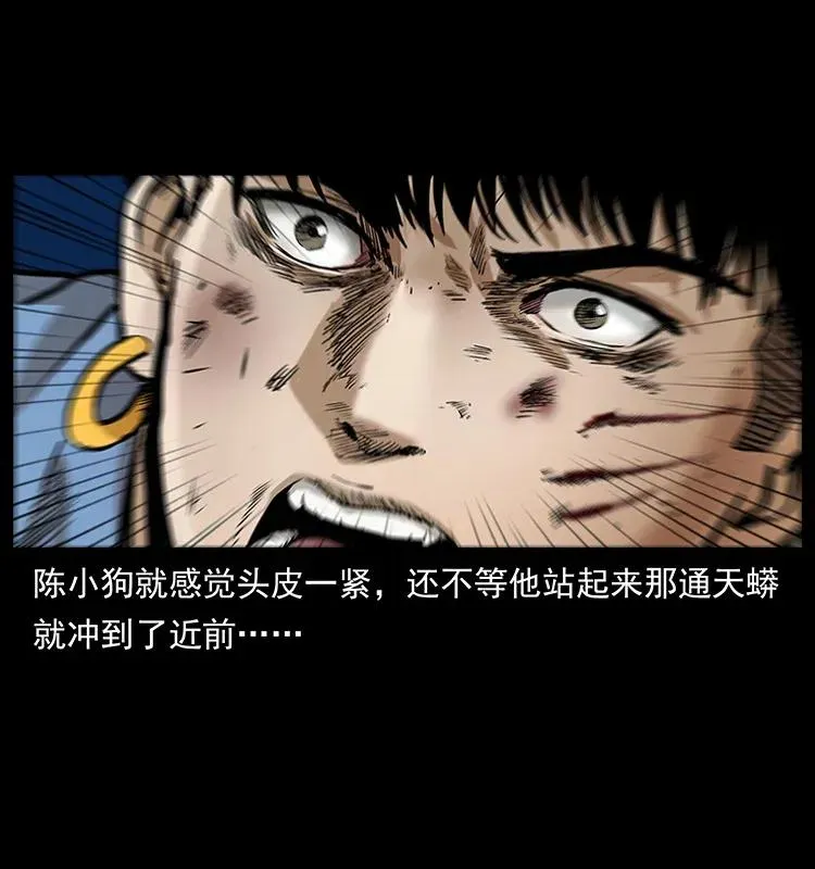 288 强者归队！ 第47页