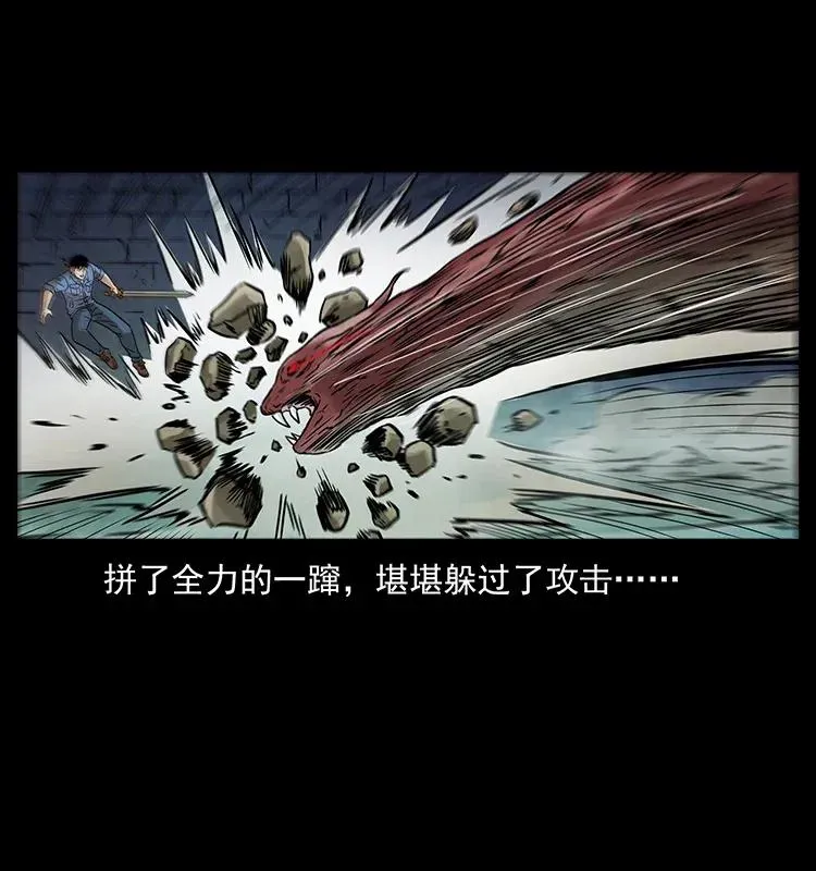288 强者归队！ 第48页
