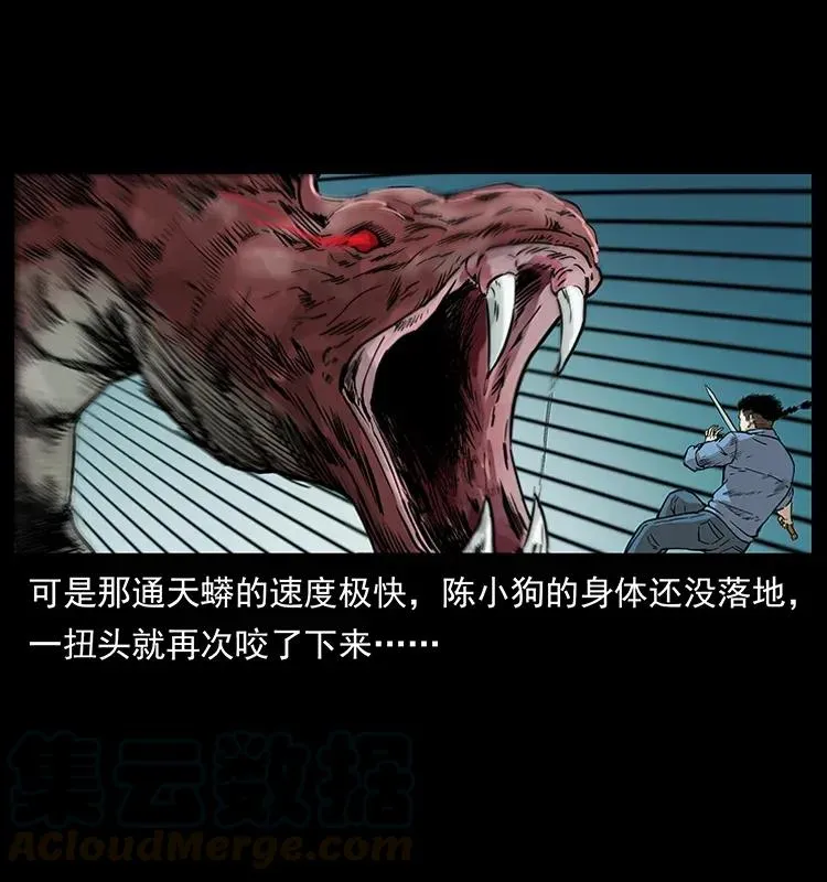 288 强者归队！ 第49页