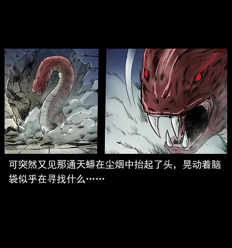 288 强者归队！ 第52页