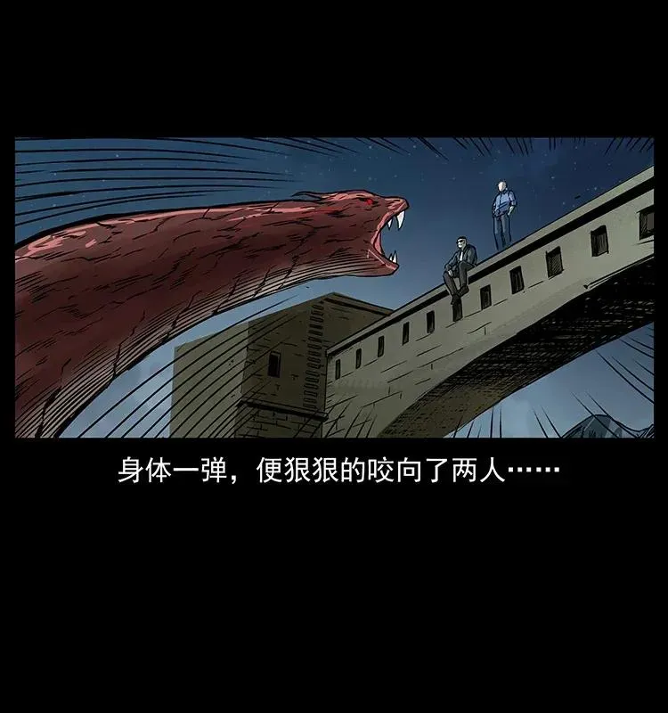 288 强者归队！ 第64页