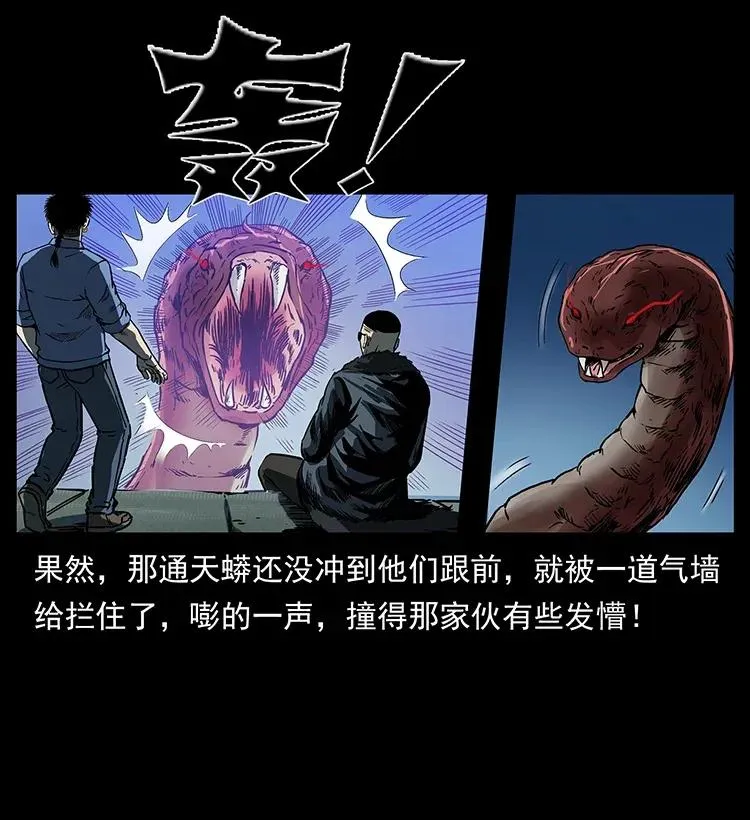 288 强者归队！ 第66页