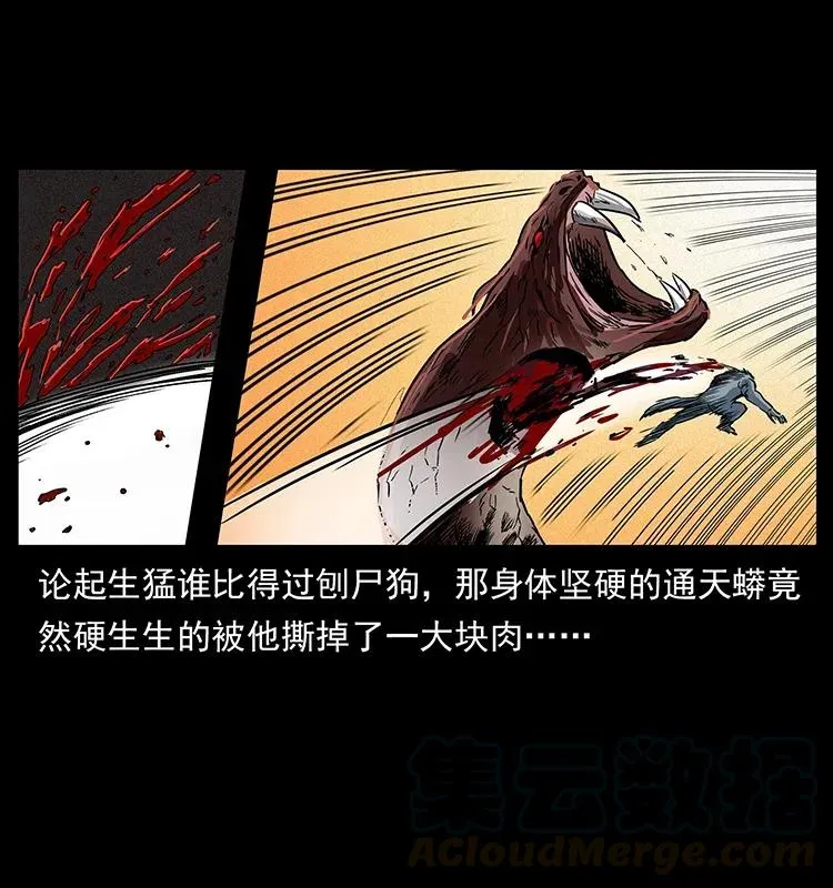 288 强者归队！ 第73页