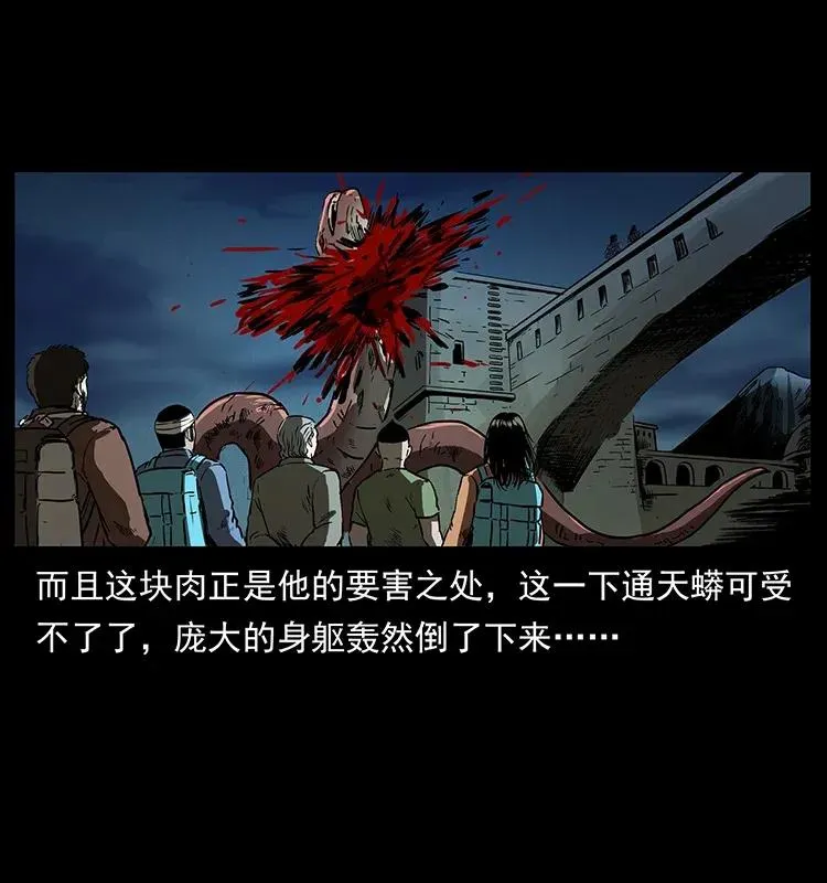 288 强者归队！ 第74页