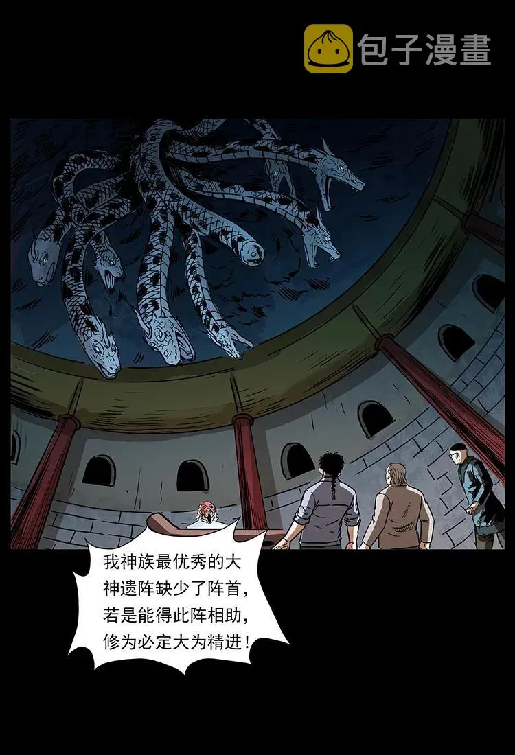 291 大神命阵 第63页