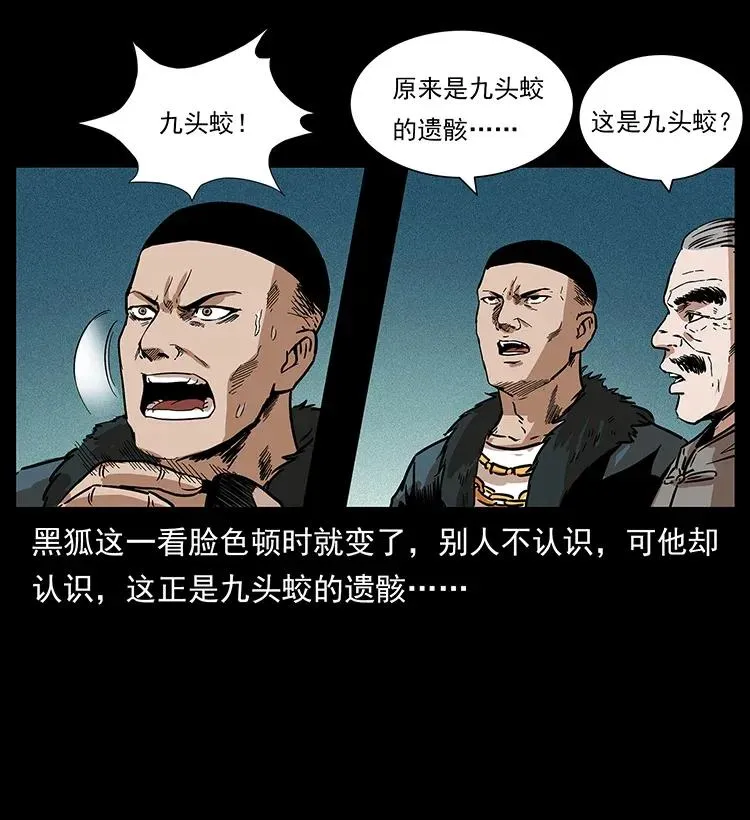 291 大神命阵 第66页