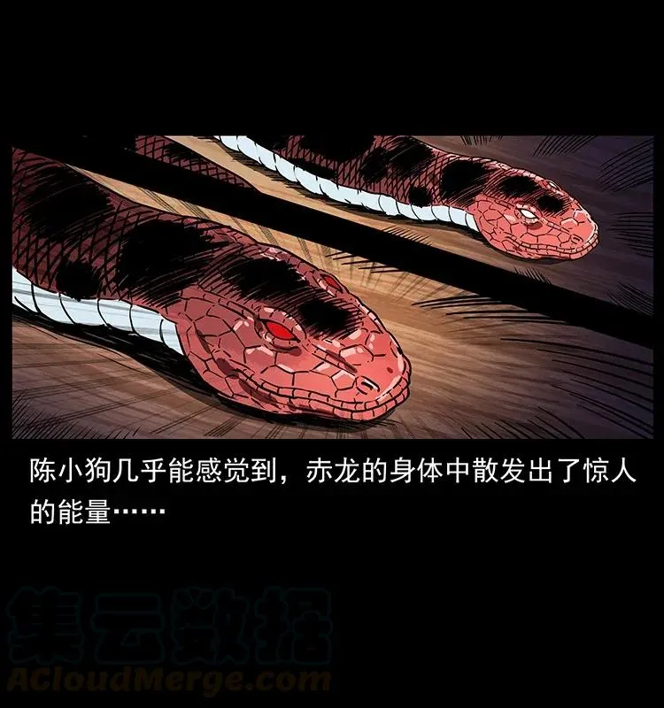 291 大神命阵 第85页