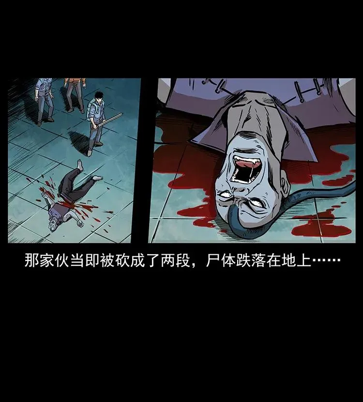 290 神王？ 第50页