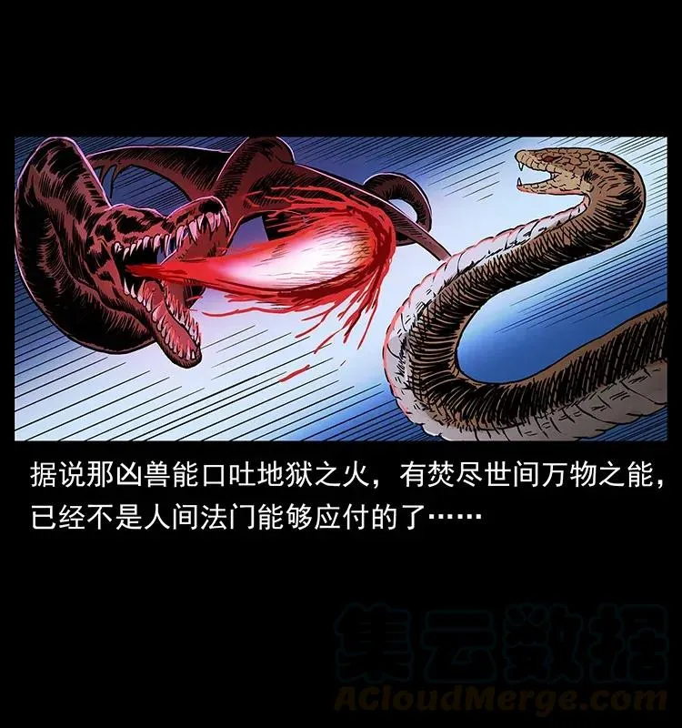 293 赤龙回归 第5页