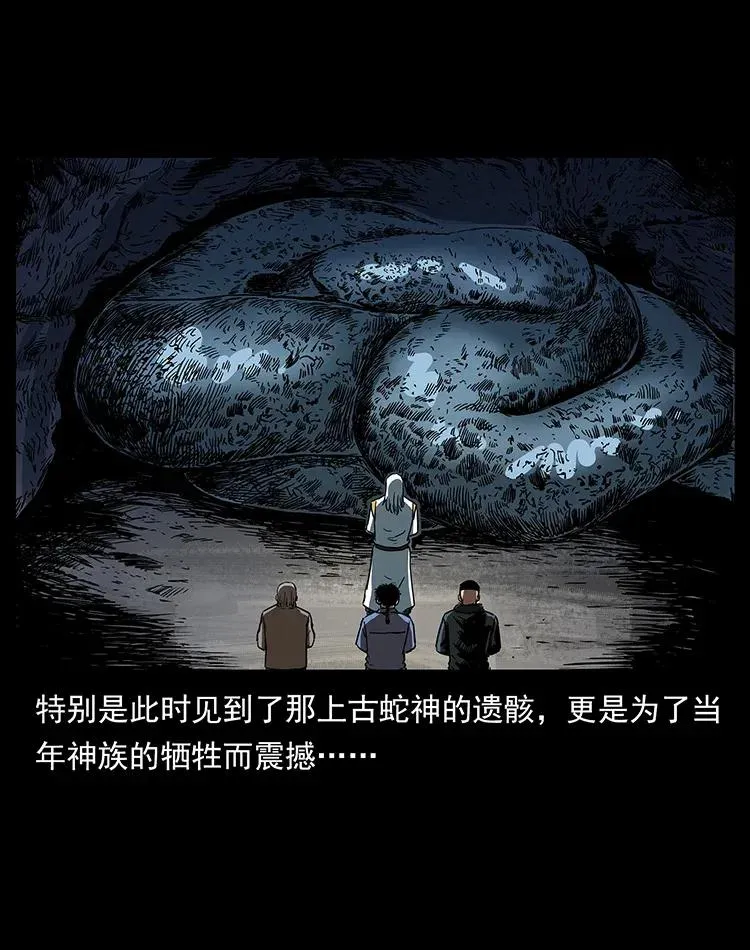 293 赤龙回归 第15页