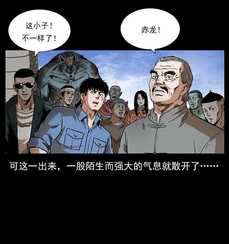 293 赤龙回归 第30页