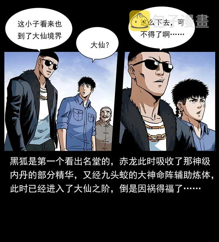 293 赤龙回归 第35页