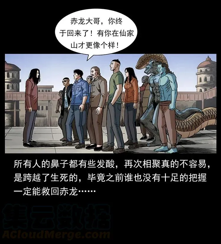 293 赤龙回归 第41页