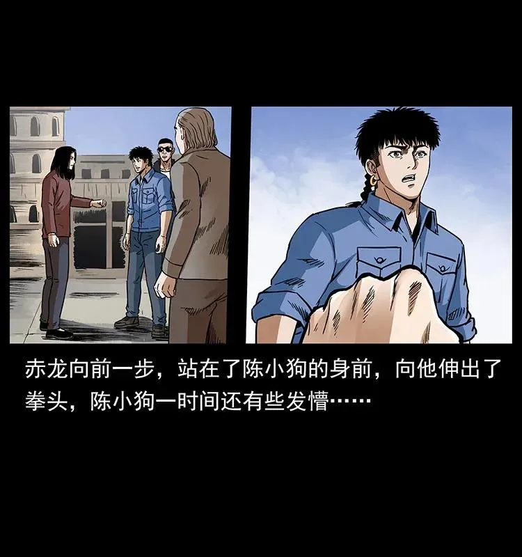 293 赤龙回归 第42页
