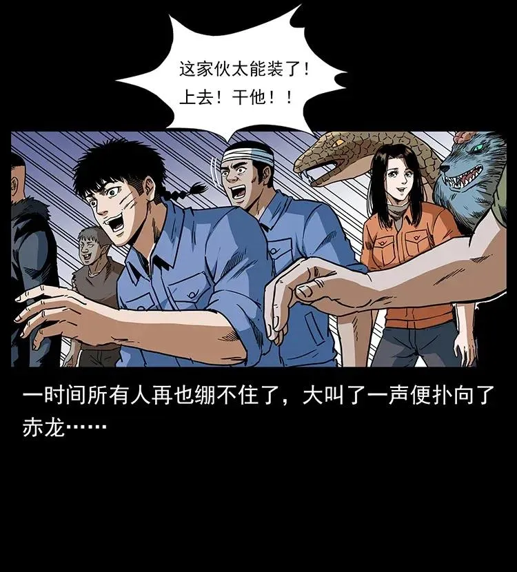 293 赤龙回归 第46页