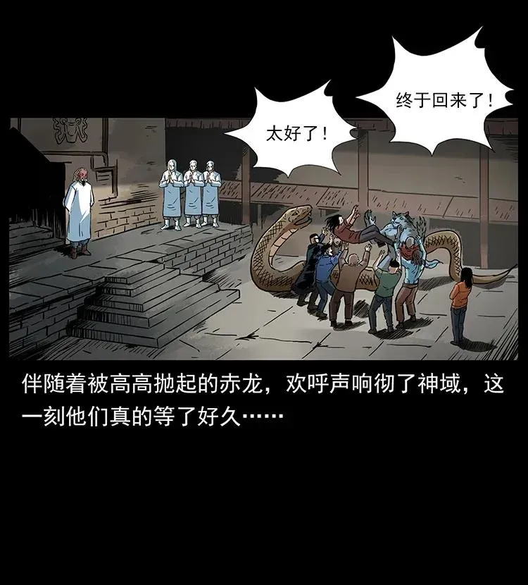 293 赤龙回归 第47页