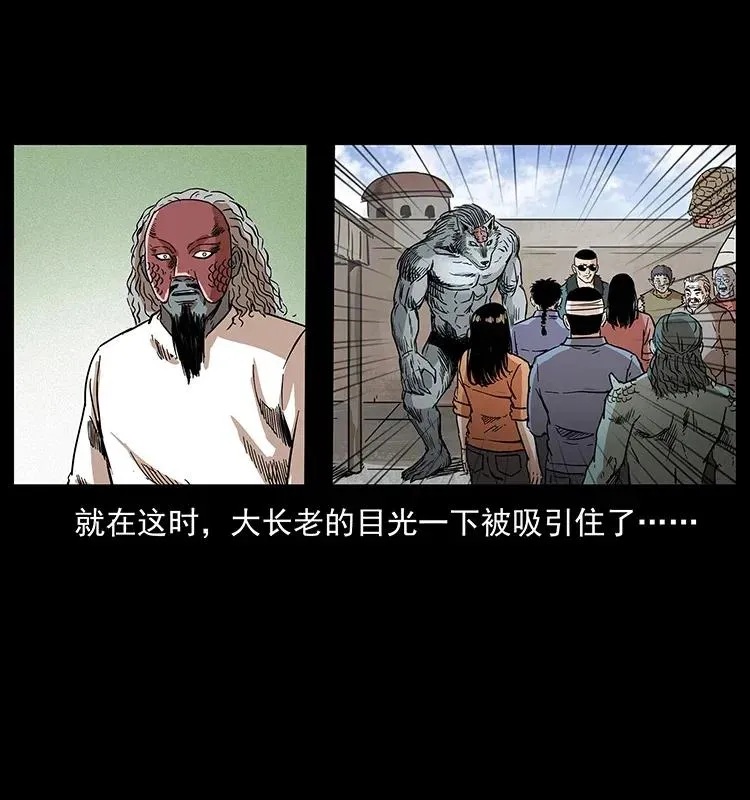 293 赤龙回归 第48页