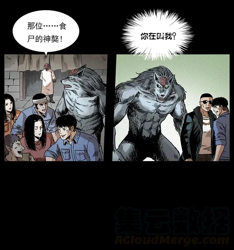 293 赤龙回归 第49页