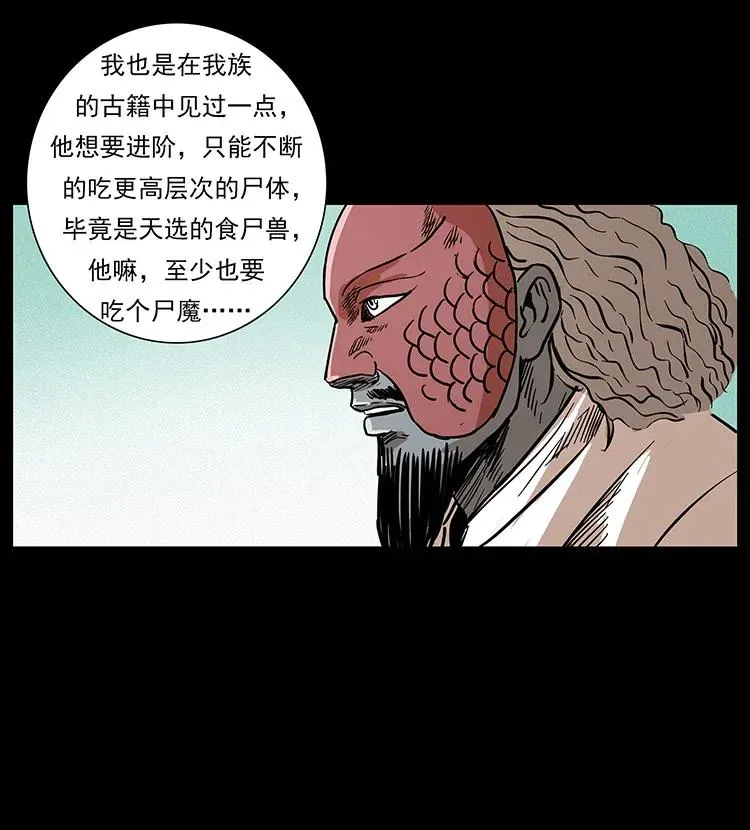 293 赤龙回归 第52页