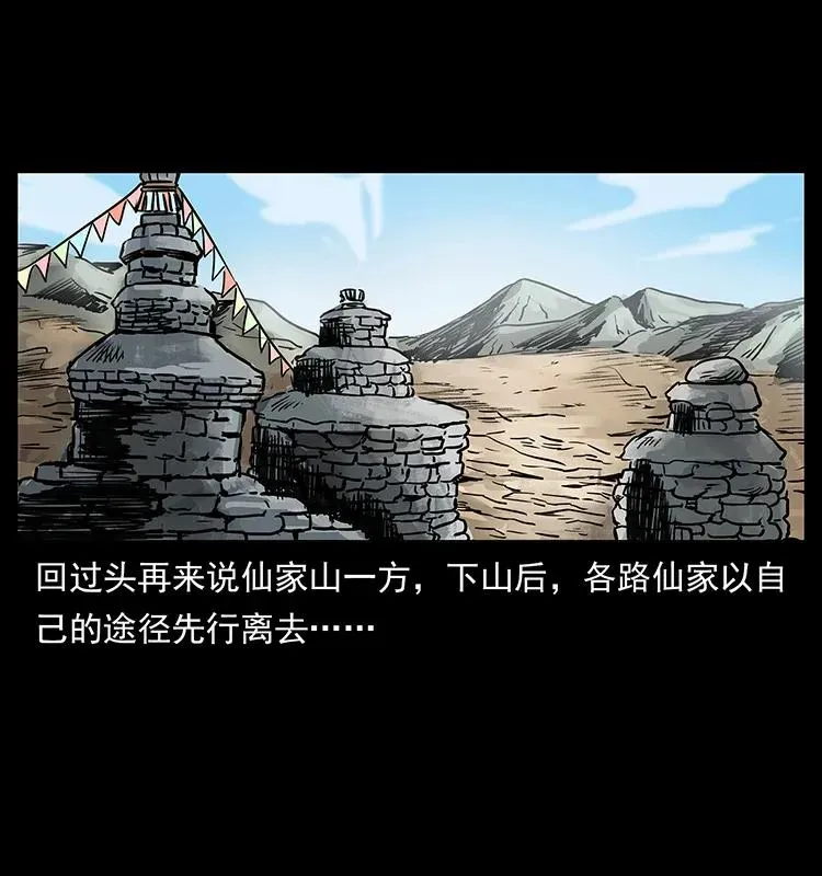 293 赤龙回归 第67页
