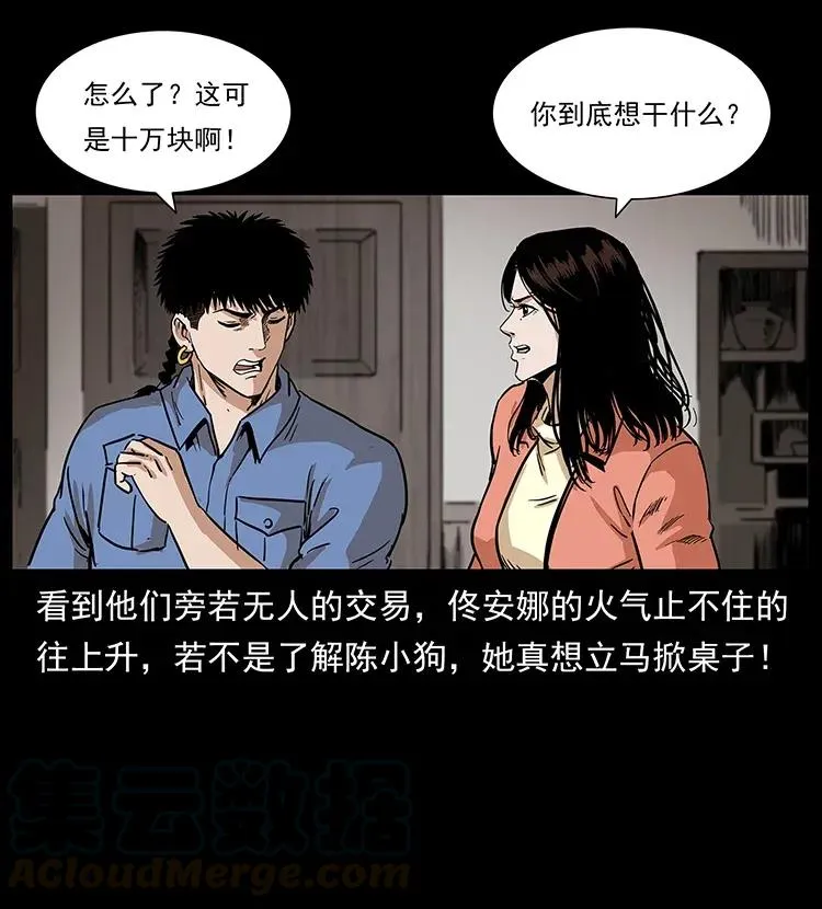295 富人 第5页
