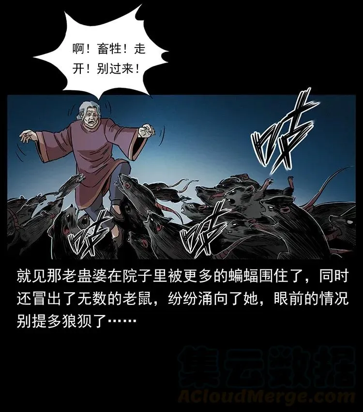 298 让人头大的落花洞女 第17页