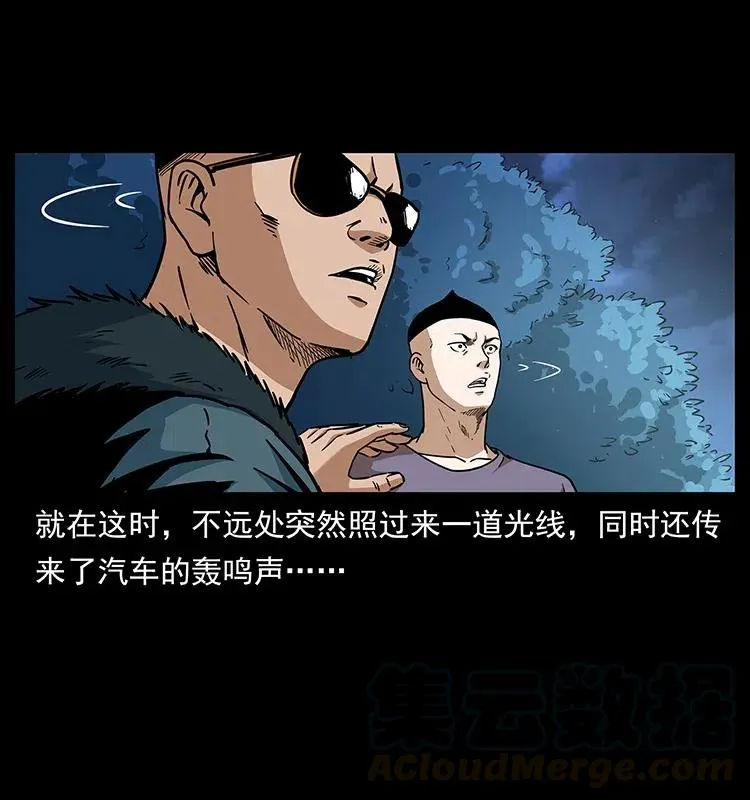 311 一窝生几个？ 第13页
