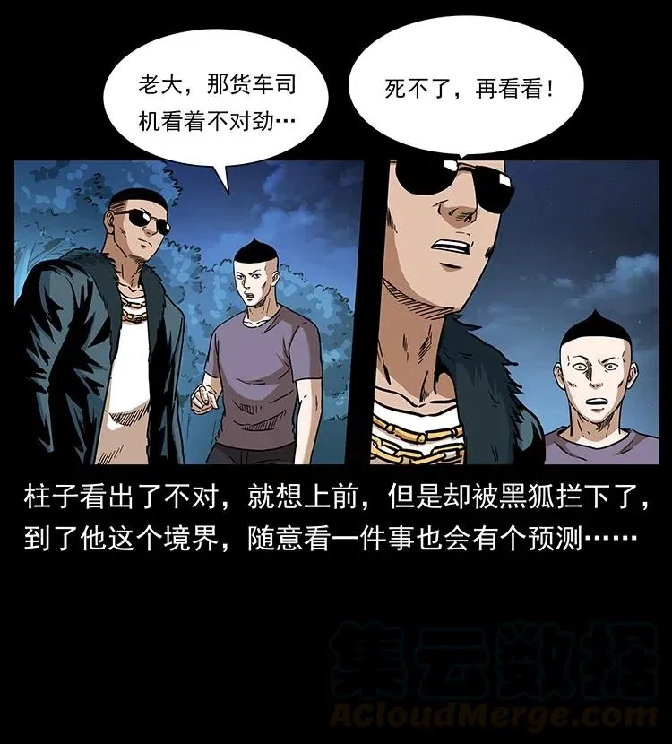 311 一窝生几个？ 第17页