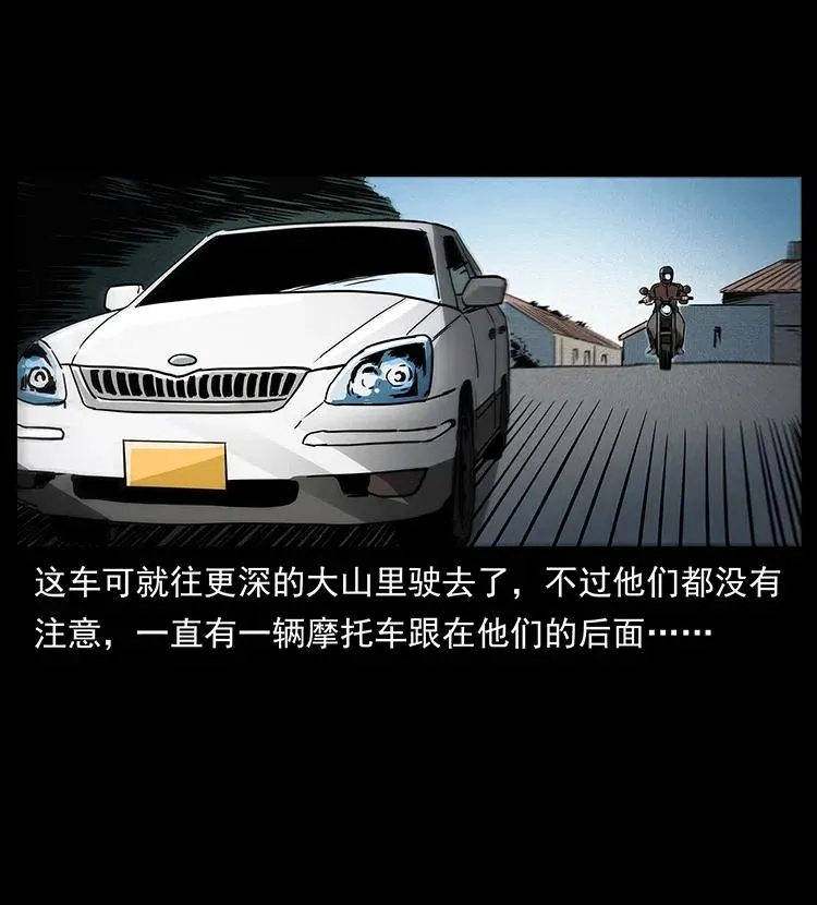 311 一窝生几个？ 第52页