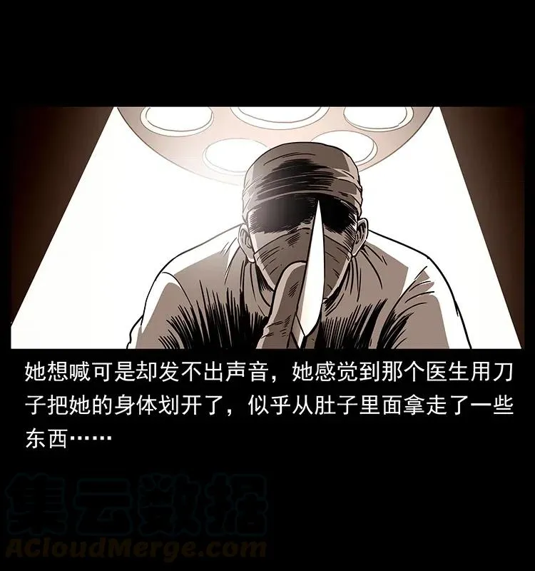 311 一窝生几个？ 第77页