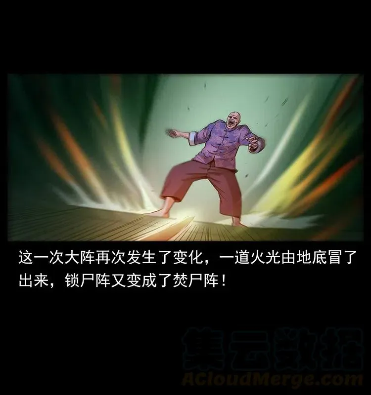 313 兽形僵尸 第25页