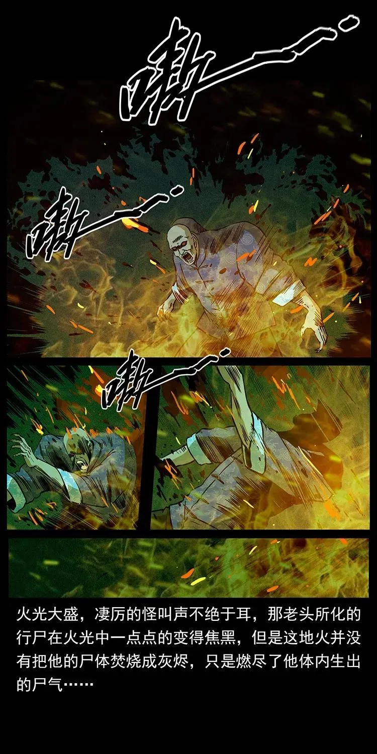 313 兽形僵尸 第26页