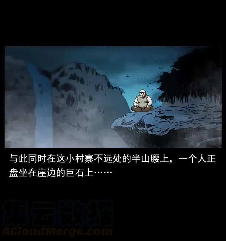 313 兽形僵尸 第29页