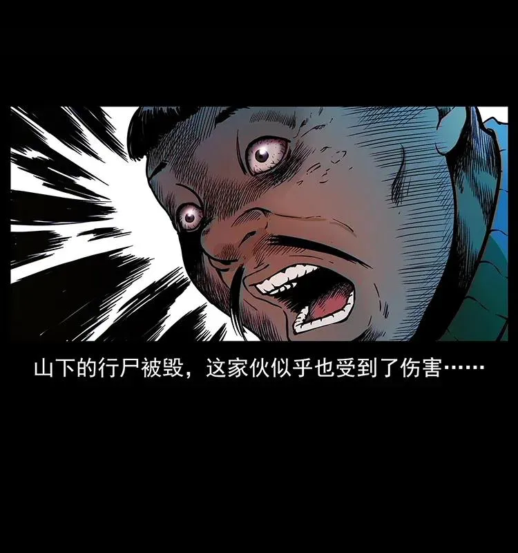 313 兽形僵尸 第30页