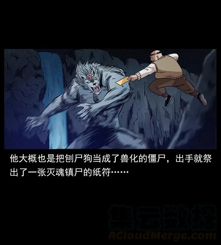 313 兽形僵尸 第37页