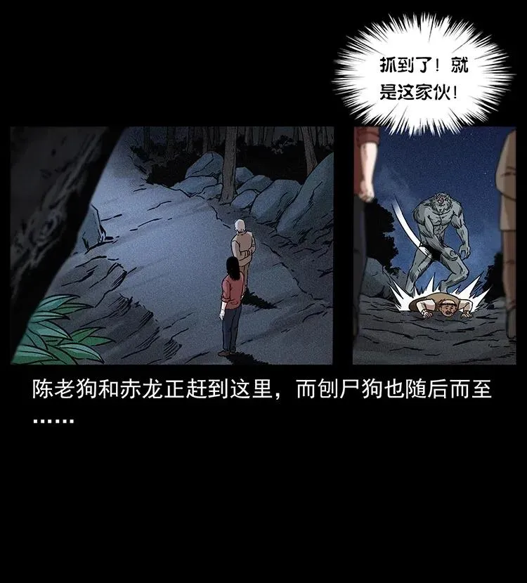 313 兽形僵尸 第42页