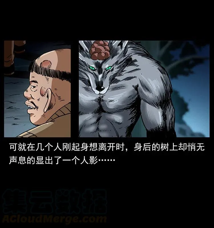 313 兽形僵尸 第57页