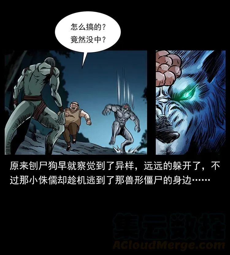 313 兽形僵尸 第61页
