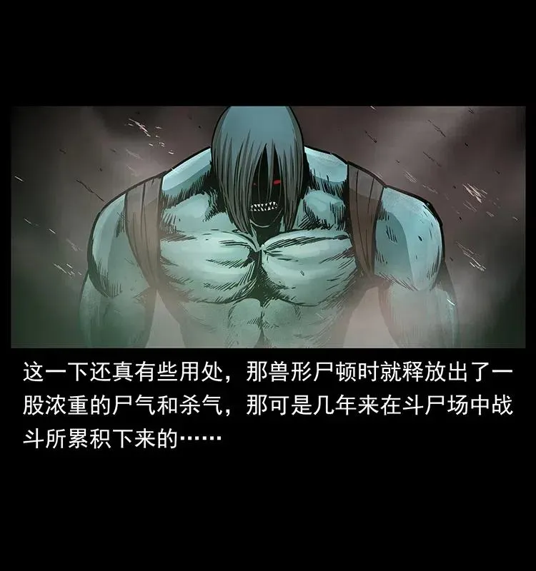 313 兽形僵尸 第68页