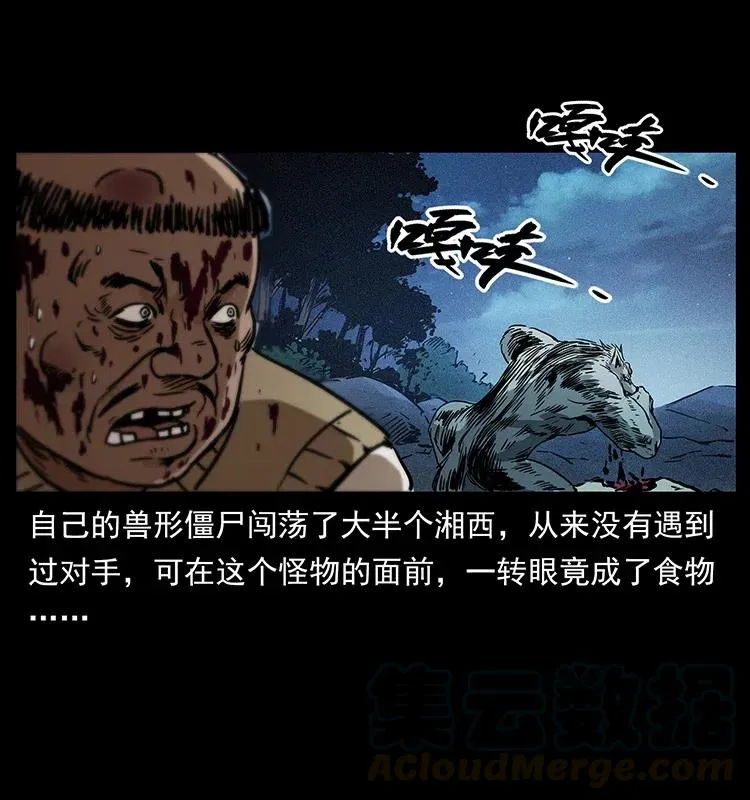 313 兽形僵尸 第77页