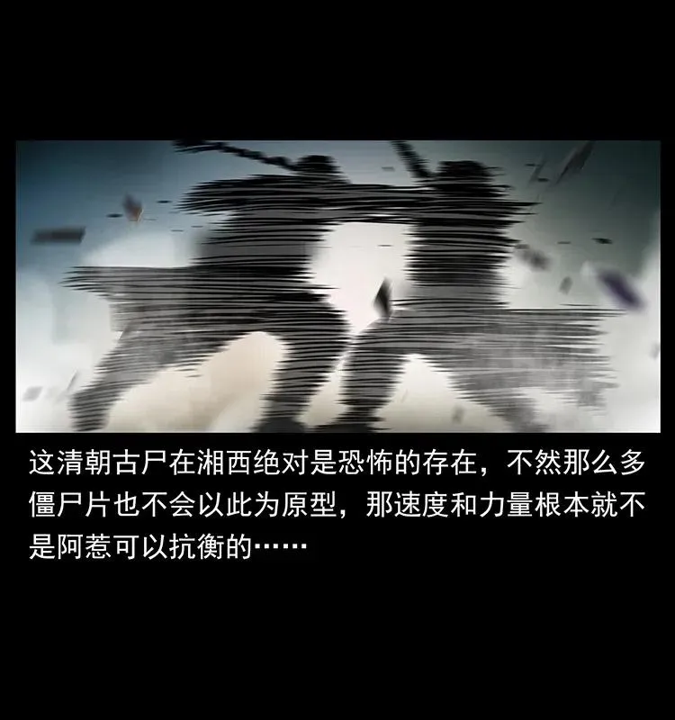 314 湘西斗尸 第30页