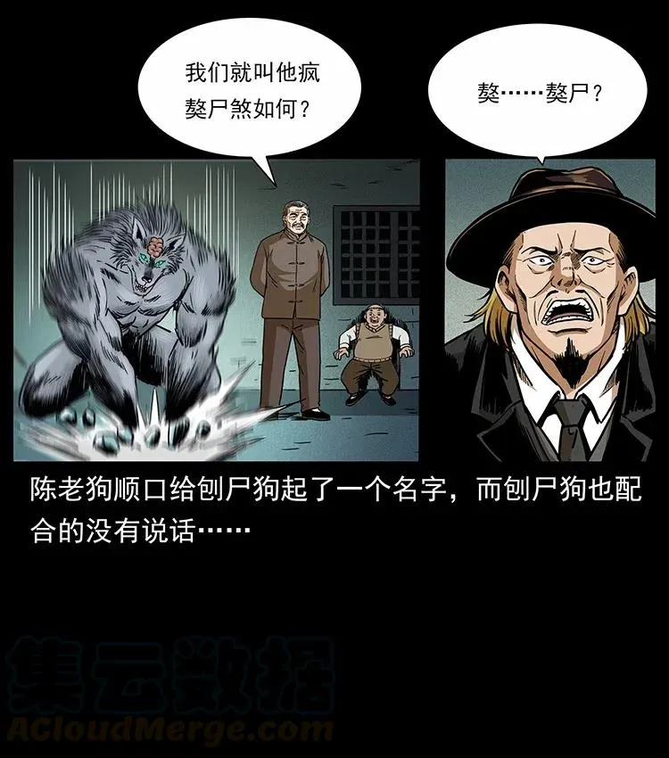 315 盛宴 第13页